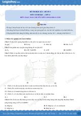 Đề số 2 - Đề kiểm tra học kì 1 - Sinh học 11